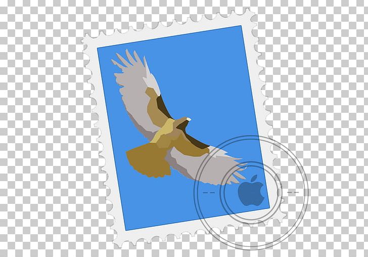 Beak Sky Wing PNG, Clipart, Application, Beak, Bird, Bird Of Prey, Clip Art Free PNG Download