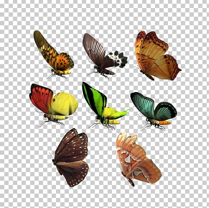 CorelDRAW Adobe Illustrator Icon PNG, Clipart, Adobe Illustrator, Animal, Animals, Arthropod, Biological Free PNG Download