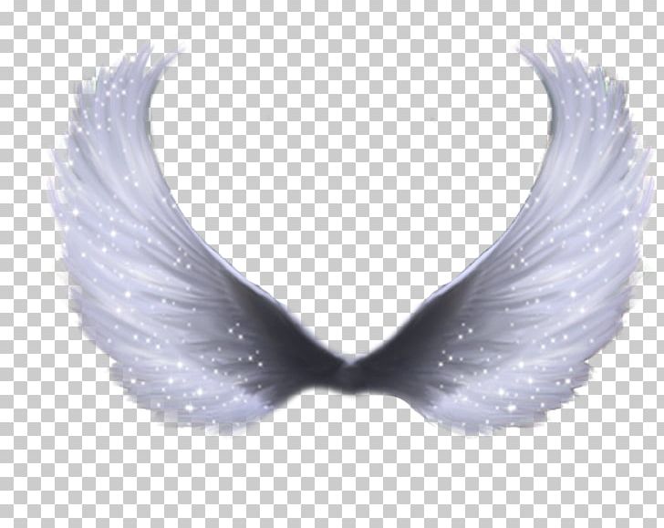 Wing PNG, Clipart, Angel, Angel Wing, Clip Art, Encapsulated Postscript, Fantasy Free PNG Download