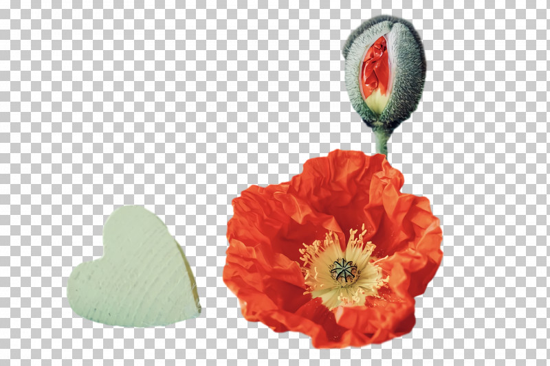 Floral Design PNG, Clipart, Armistice Day, Artificial Flower, Drawing, Floral Design, Flower Free PNG Download
