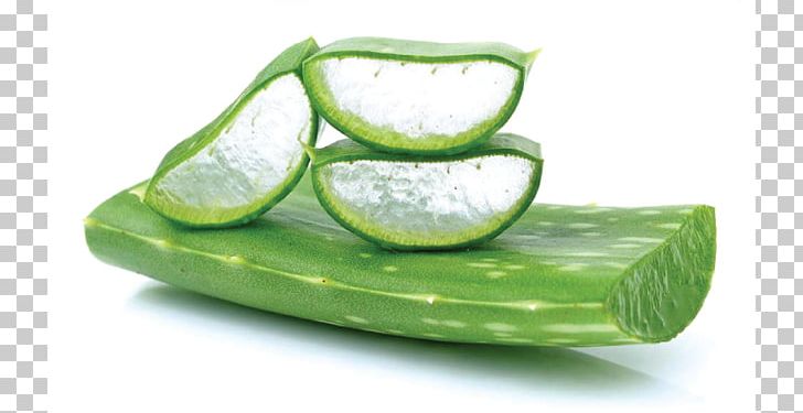Aloe Vera Acne Skin Care Gel Aloin PNG, Clipart, Acne, Aloe Vera, Aloe Vera Leaf, Aloin, Cucumber Free PNG Download