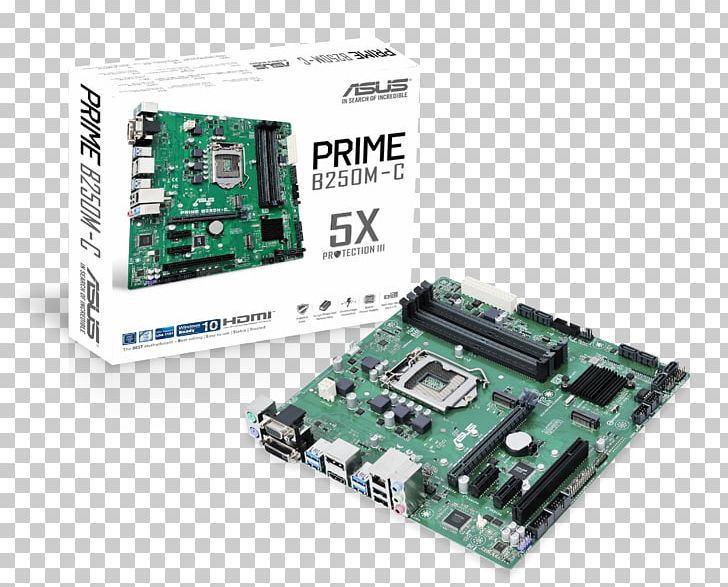 MicroATX LGA 1151 CPU Socket Asus PRIME B250M-PLUS Motherboard PNG, Clipart, Atx, Computer, Computer Component, Computer Hardware, Cpu Free PNG Download