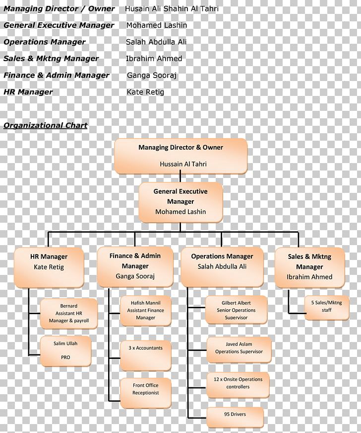 Organizational Chart Business Organizational Structure PNG, Clipart, Analytics, Area, Brand, Bus, Business Free PNG Download