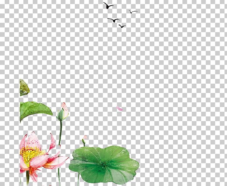 Petal Nelumbo Nucifera Leaf Lotus Effect PNG, Clipart, Branch, Computer Software, Cut Flowers, Floral Design, Flower Free PNG Download