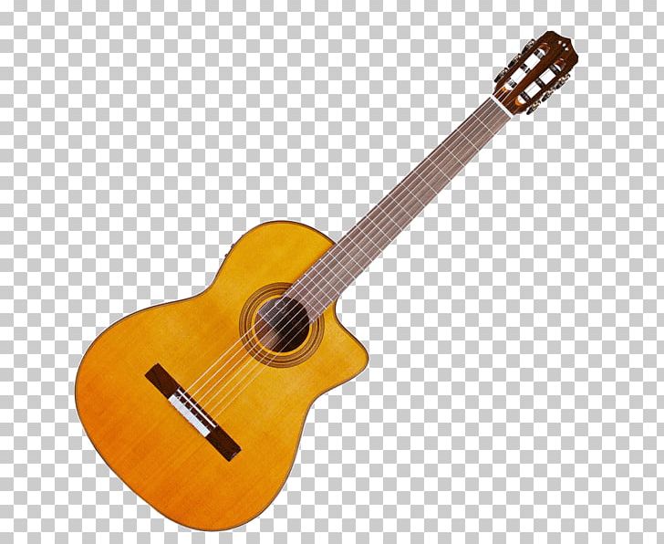 Classical Guitar Ibanez Musical Instruments Acoustic Guitar PNG, Clipart, Acoustic Electric Guitar, Classical Guitar, Cuatro, Cutaway, Guitar Accessory Free PNG Download