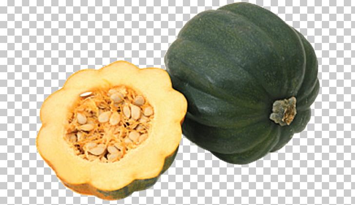 Gourd Winter Squash Acorn Squash Cucurbita Pepo Var. Cylindrica PNG, Clipart, Acorn, Acorn Squash, Calabaza, Computer Icons, Cucumber Gourd And Melon Family Free PNG Download