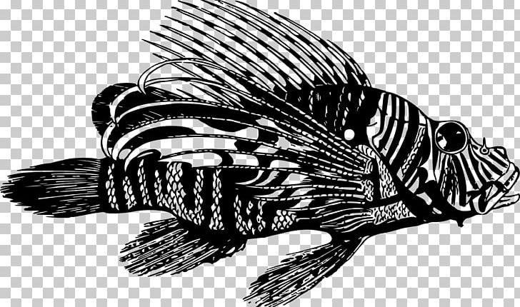 Lionfish PNG, Clipart, Autocad Dxf, Black And White, Diagram, Drawing, Encapsulated Postscript Free PNG Download