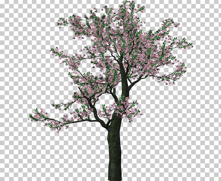 Tree PNG, Clipart, Blossom, Branch, Cherry Blossom, Clip Art, Computer ...