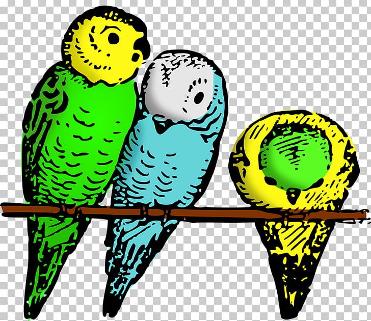 Budgerigar Parrot Bird Parakeet PNG, Clipart, Animals, Beak, Bird, Budgerigar, Budgie Free PNG Download