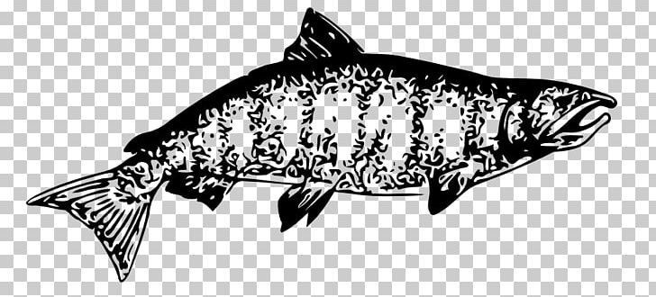 chinook salmon black and white illustration free download