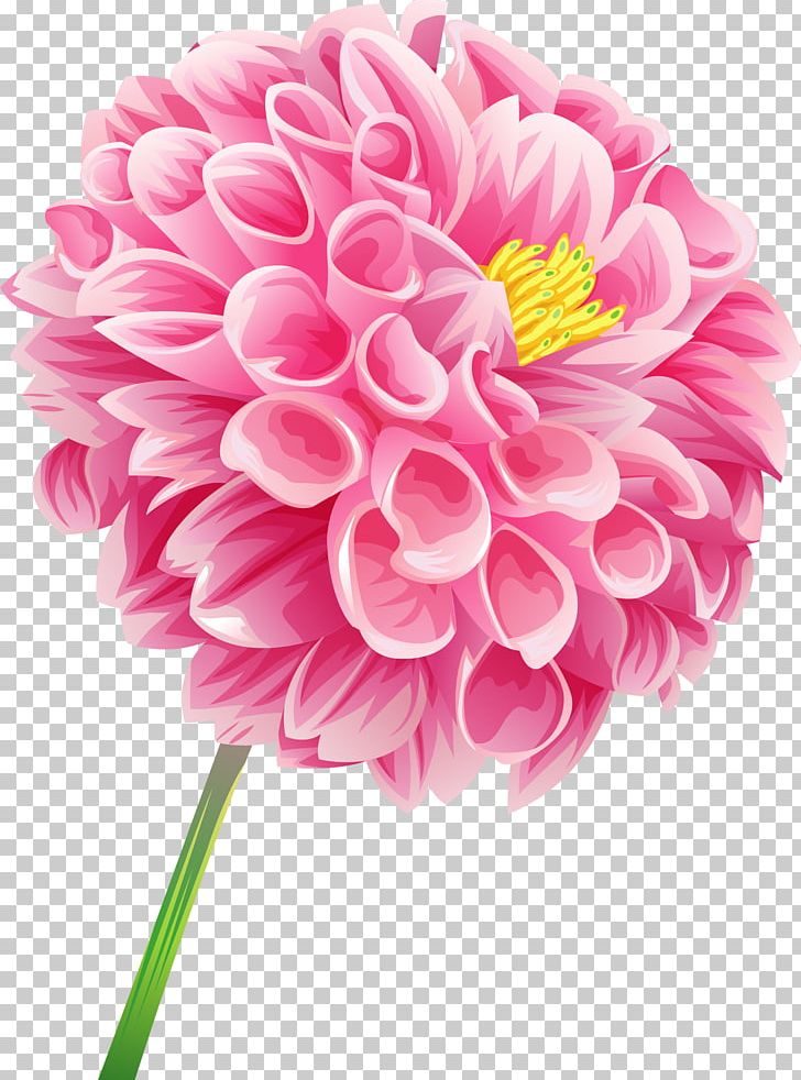 Desktop Flower PNG, Clipart, Chrysanths, Cut Flowers, Dahlia, Daisy Family, Desktop Wallpaper Free PNG Download