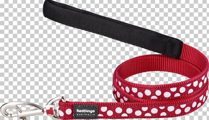 Leash Dog Collar Dingo PNG, Clipart, Animals, Business, Collar, Dingo, Dog Free PNG Download