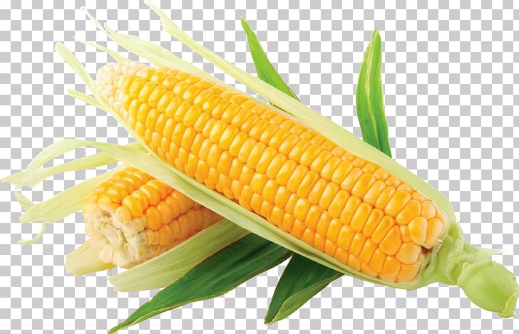 Maize Corn On The Cob PNG, Clipart, Candy Corn, Commodity, Computer Icons, Corn, Corncob Free PNG Download