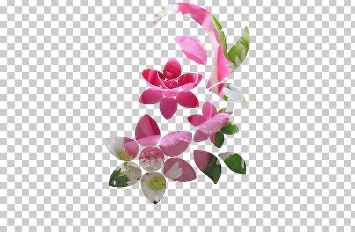 Moth Orchids Flower Floral Design Petal PNG, Clipart, Blossom, Floral Design, Flower, Flowering Plant, Moth Orchid Free PNG Download