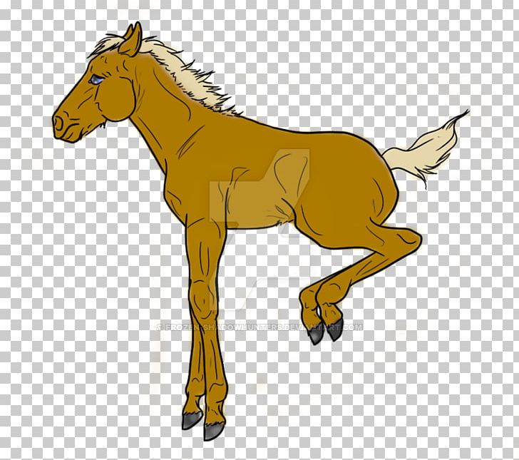 Mule Foal Stallion Halter Mare PNG, Clipart, Bridle, Character, Colt, Donkey, Fauna Free PNG Download