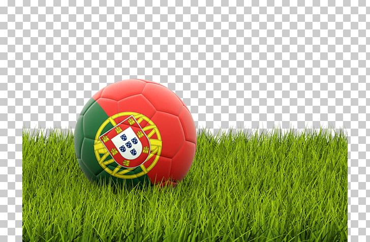 Nottingham Forest F.C. England National Football Team Portugal UEFA Euro 2016 PNG, Clipart, Arabian Gulf Cup, Artificial Turf, Ball, Football, Football Association Of Indonesia Free PNG Download