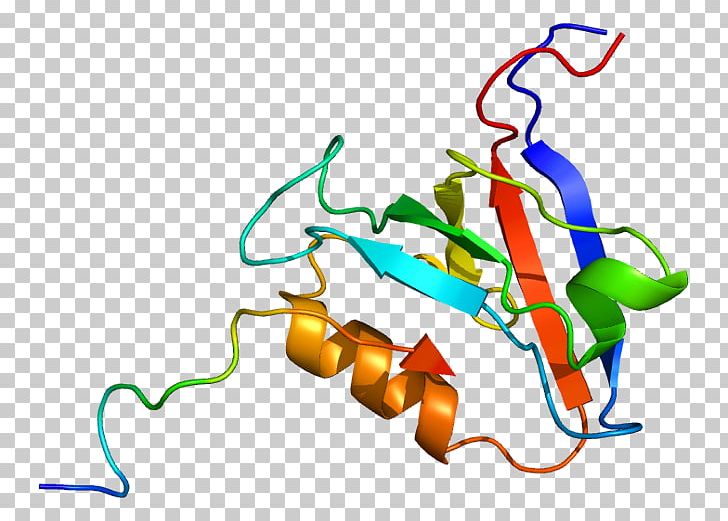 PTPN13 Gene Protein Tyrosine Phosphatase PTPN11 PNG, Clipart, 1 D, 5 G, Area, Artwork, D 5 Free PNG Download