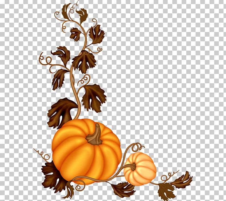 Pumpkin Software PNG, Clipart, Autumn, Branch, Calabaza, Christmas Decoration, Cucurbita Free PNG Download