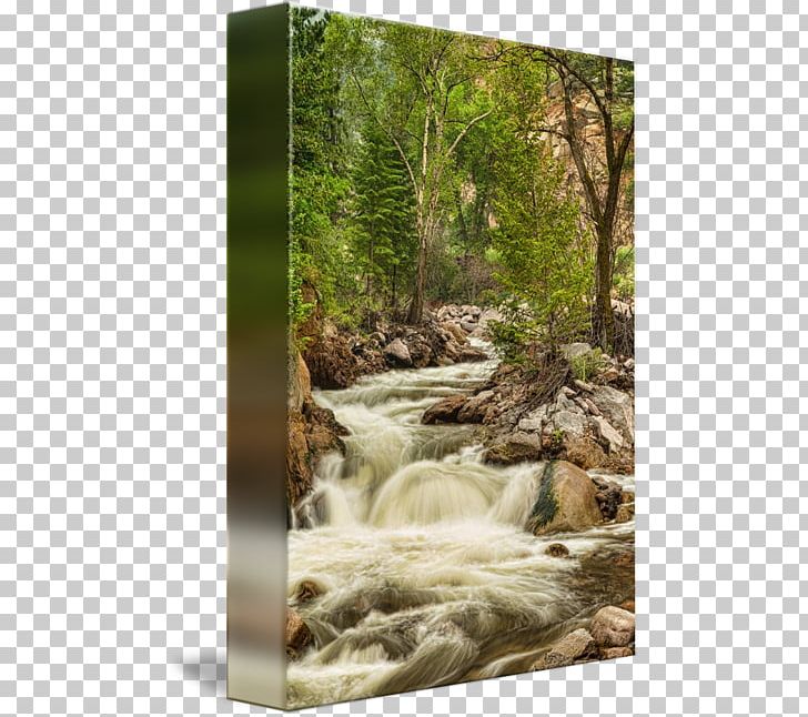 Waterfall Nature Reserve Water Resources Stream River PNG, Clipart, Body Of Water, Creek, Fluvial Landforms Of Streams, Forest, Landscape Free PNG Download