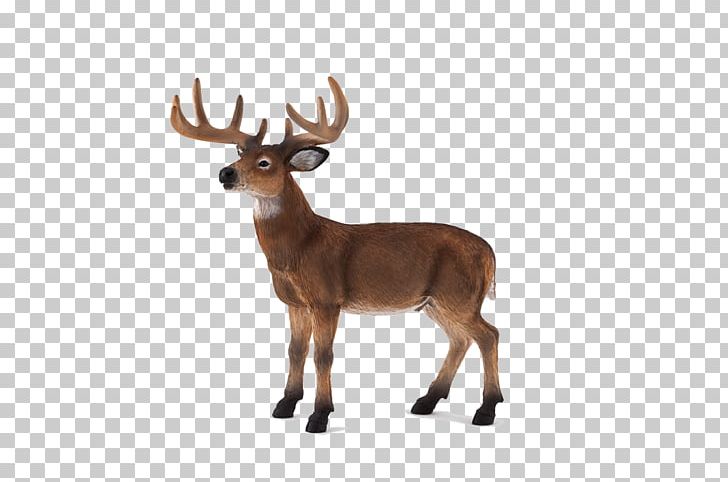 White-tailed Deer Red Deer Wildlife German Shepherd PNG, Clipart, Animal, Animal Figure, Animal Figurine, Animal Planet, Animals Free PNG Download