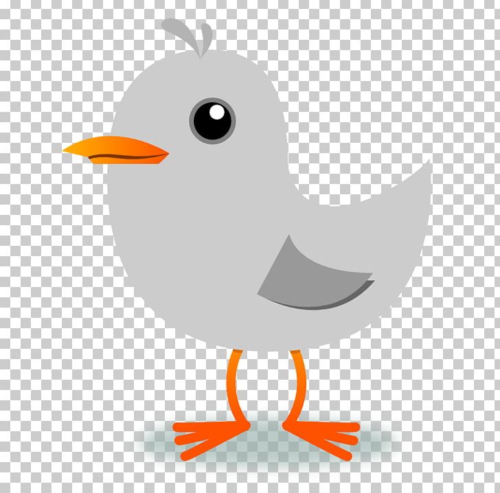 Bird Singing PNG, Clipart, Beak, Bird, Cartoon, Chicken, Drawing Free PNG Download