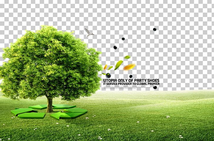 Book Tree Bureau Of Jewish Education Illustration PNG, Clipart, Author, Background Green, Bureau Of Jewish Education, Computer Wallpaper, Energy Free PNG Download
