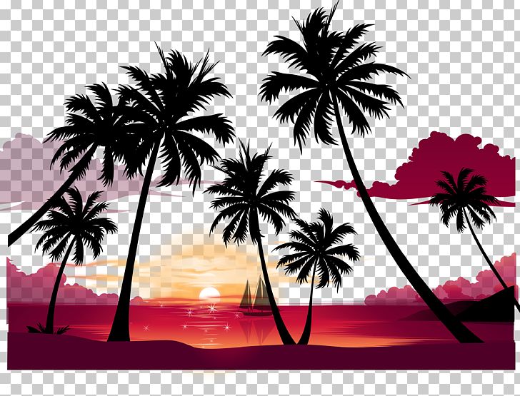 Display Resolution Summer PNG, Clipart, Arecaceae, Background Vector, Beach Vector, Borassus Flabellifer, Computer Wallpaper Free PNG Download