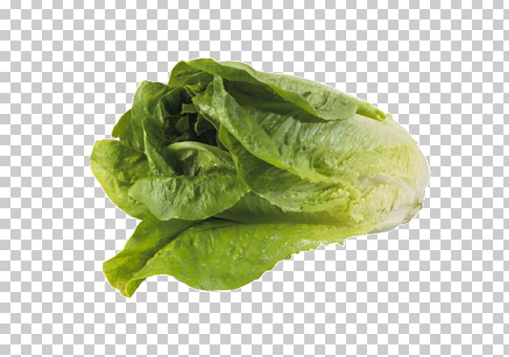 Romaine Lettuce Spinach Chard Leaf Lettuce Vegetable PNG, Clipart, Cabbage, Chard, Collard Greens, Cultivar, Dia Free PNG Download