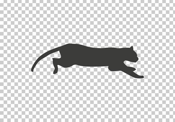 Cat Kitten PNG, Clipart, Animal, Animals, Big Cat, Big Cats, Black Free PNG Download