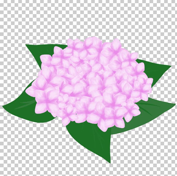 French Hydrangea Flower Pink Petal PNG, Clipart, 1505, Art, Color, Cornales, Download Free PNG Download
