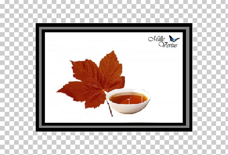Maple Syrup Juice Sports & Energy Drinks PNG, Clipart, Cooking, Cup, Drink, Energy Drink, Flavor Free PNG Download