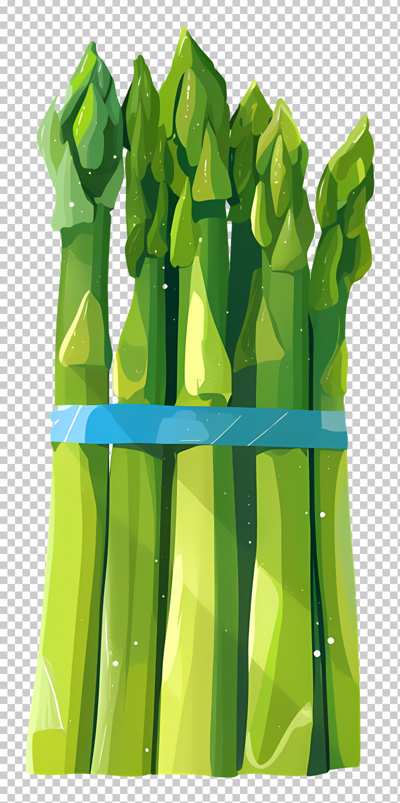 Green Asparagus - Fresh Green Asparagus Illustration PNG