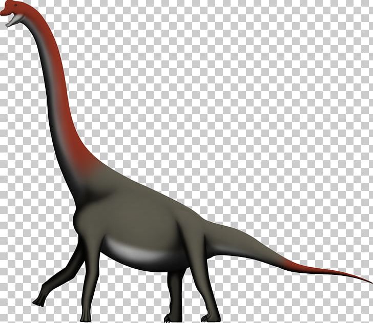 Lapparentosaurus Macronaria Alvarezsaurus Isalo III Formation Majungasaurus PNG, Clipart, Alvarezsaurus, Animal Figure, Carnotaurus, Dinosaur, Dinosaurs Free PNG Download