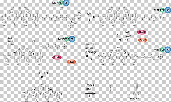 Line Point Angle PNG, Clipart, Angle, Area, Chemical Biology, Diagram, Line Free PNG Download