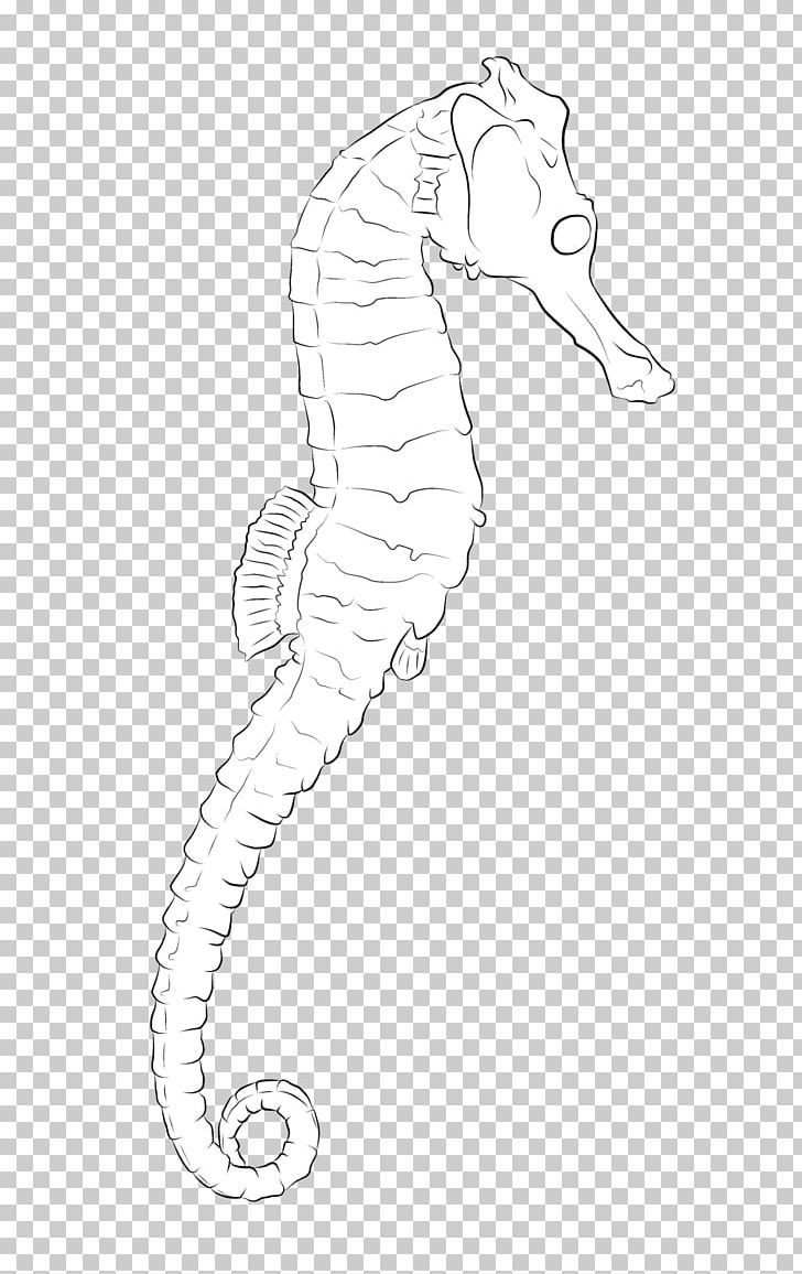 Seahorse Line Art Pipefishes And Allies Drawing /m/02csf PNG, Clipart, Arm, Artwork, Black And White, Drawing, Fish Free PNG Download