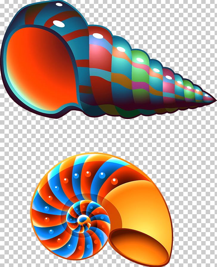 Seashell Conch Mollusc Shell PNG, Clipart, Circle, Color, Colorful Background, Colorful Vector, Coloring Free PNG Download