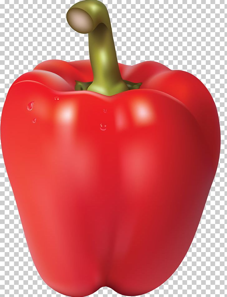 Bell Pepper Chili Con Carne Chili Pepper Vegetable PNG, Clipart, Apple, Bell Peppers And Chili Peppers, Capsicum, Capsicum Annuum, Diet Food Free PNG Download