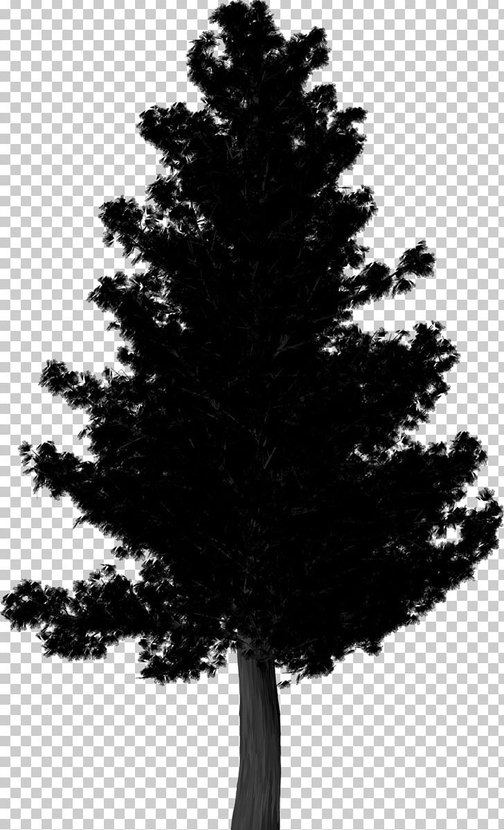 Pine Portable Network Graphics Illustration PNG, Clipart, Agac, Animals, Black And White, Branch, Cam Free PNG Download