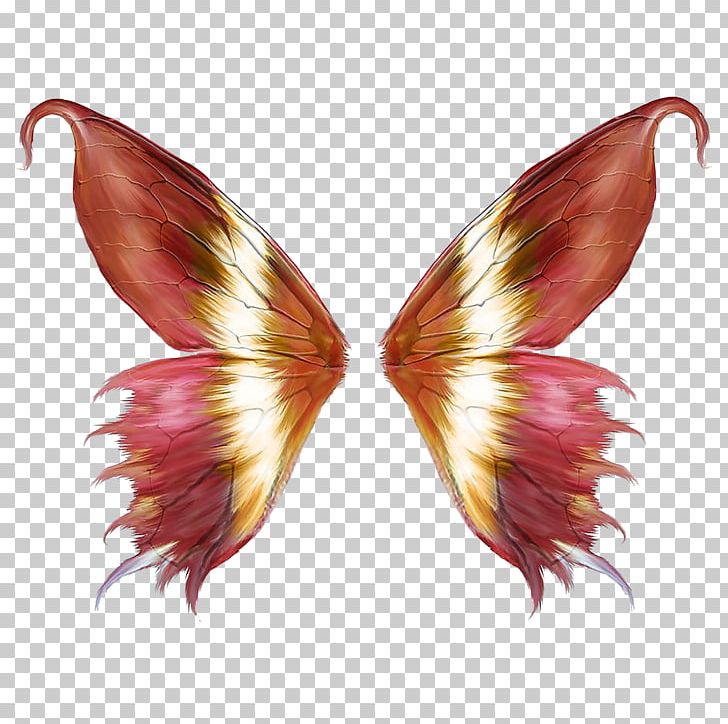 Pink Butterfly Wings PNG, Clipart, Animal, Animals, Art, Buffalo Wing, Butterfly Free PNG Download