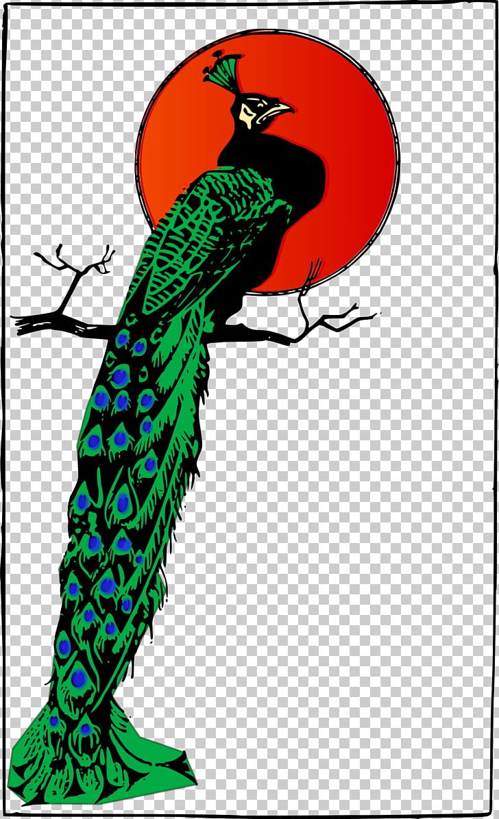 Bird Peafowl PNG, Clipart, Animals, Art, Beak, Bird, Computer Icons Free PNG Download
