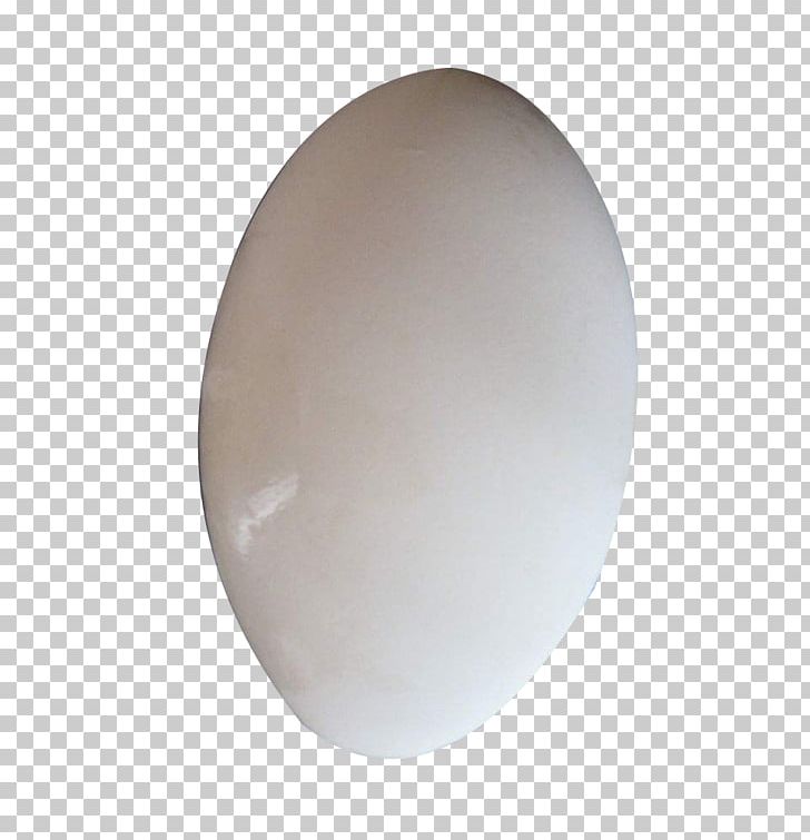 Domestic Goose Egg Oval Chicken PNG, Clipart, Animals, Chicken, Chicken Egg, Domestic Goose, Egg Free PNG Download
