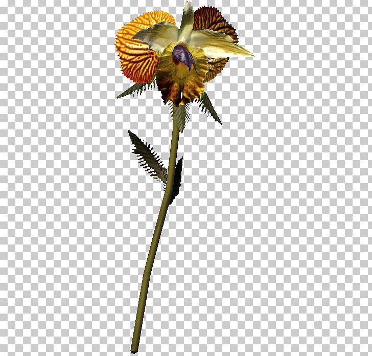 Insect Cut Flowers Flowering Plant Plant Stem Petal PNG, Clipart, Animals, Butterfly, Cut Flowers, Flora, Flower Free PNG Download