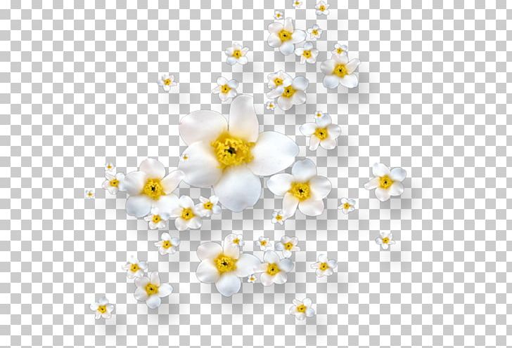 Petal Flower Rain Leaf Dew PNG, Clipart, Anime, Blossom, Blume, Branch, Dew Free PNG Download