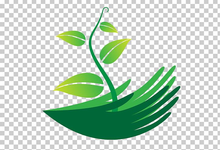 Seedling Franchising PNG, Clipart, Afacere, Business Opportunity, Concept, Franchising, Grass Free PNG Download