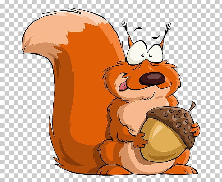 Squirrel Cartoon PNG, Clipart, Animals, Art, Bear, Beaver, Carnivoran Free PNG Download
