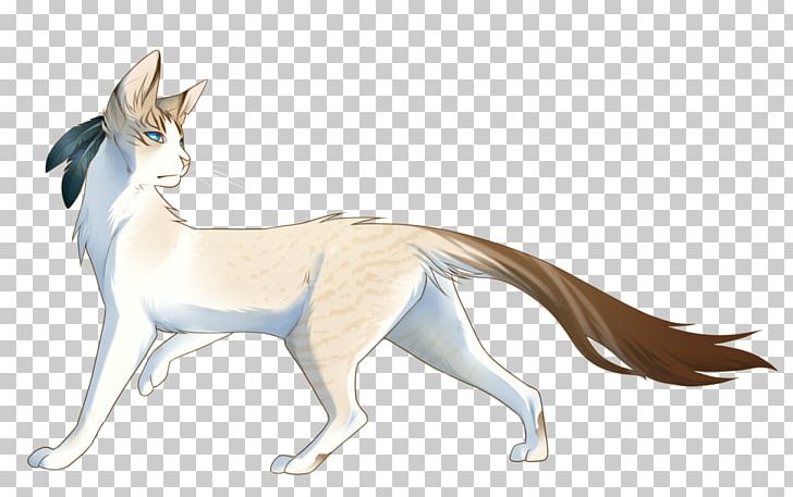 Whiskers Red Fox Cat Tail PNG, Clipart, Animals, Animated Cartoon, Balinese Cat, Carnivoran, Cat Free PNG Download
