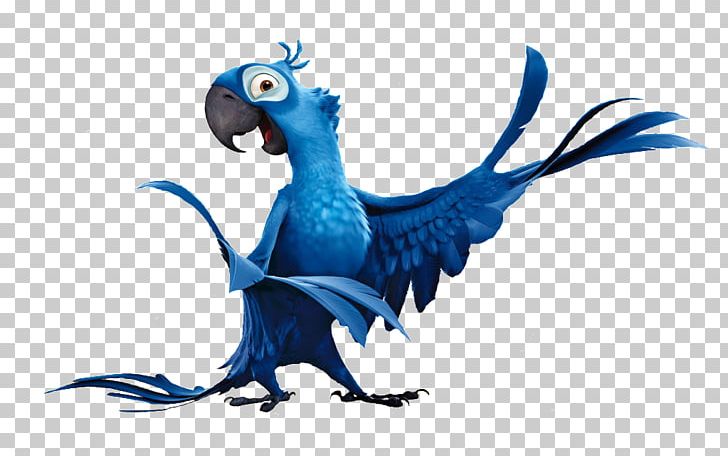 Blue Sky Studios Parrot Rio Spix's Macaw PNG, Clipart, Animal Figure, Animals, Animated Cartoon, Animation, Art Free PNG Download