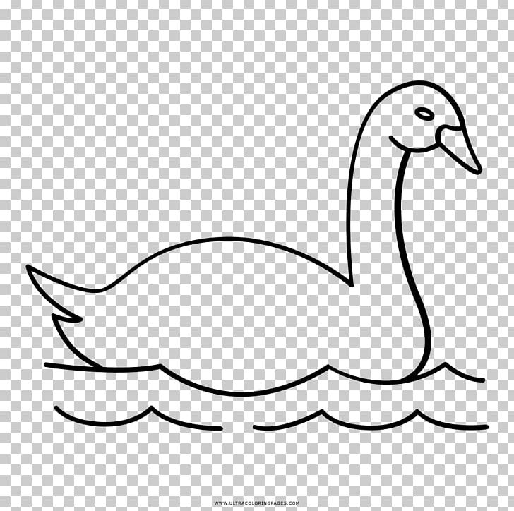 Duck Cygnini Goose Drawing Coloring Book PNG, Clipart, Animal, Animals, Artwork, Beak, Bird Free PNG Download