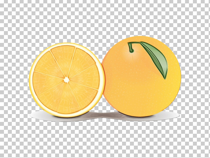 Grapefruit Lemon Fruit Tableware PNG, Clipart, Fruit, Grapefruit, Lemon, Paint, Tableware Free PNG Download