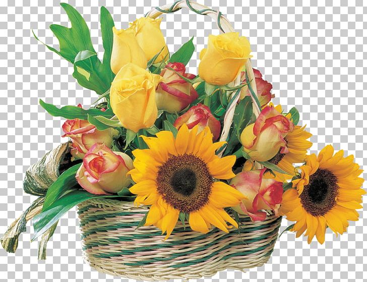 Common Sunflower Birthday Greeting PNG, Clipart, Baskets, Creative Ads, Creative Artwork, Creative Background, Creative Logo Design Free PNG Download